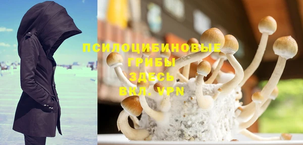 ешки Бронницы