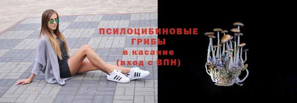 СК Сосновый Бор