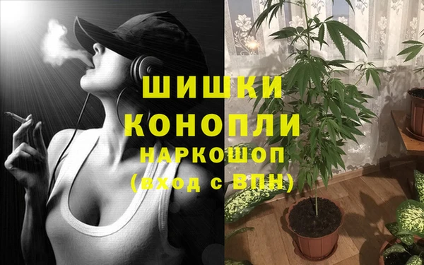 бутират Бородино