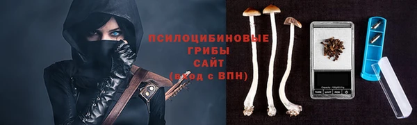 ешки Бронницы
