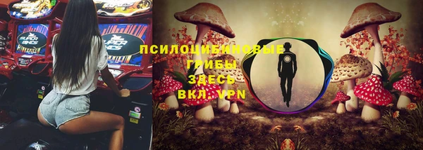 ПСИЛОЦИБИНОВЫЕ ГРИБЫ Верхнеуральск