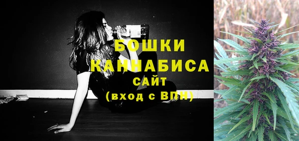 ПСИЛОЦИБИНОВЫЕ ГРИБЫ Верхнеуральск