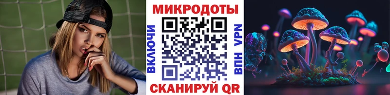 Галлюциногенные грибы Magic Shrooms  купить наркотики цена  Катайск 
